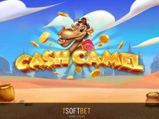 Cash Camel